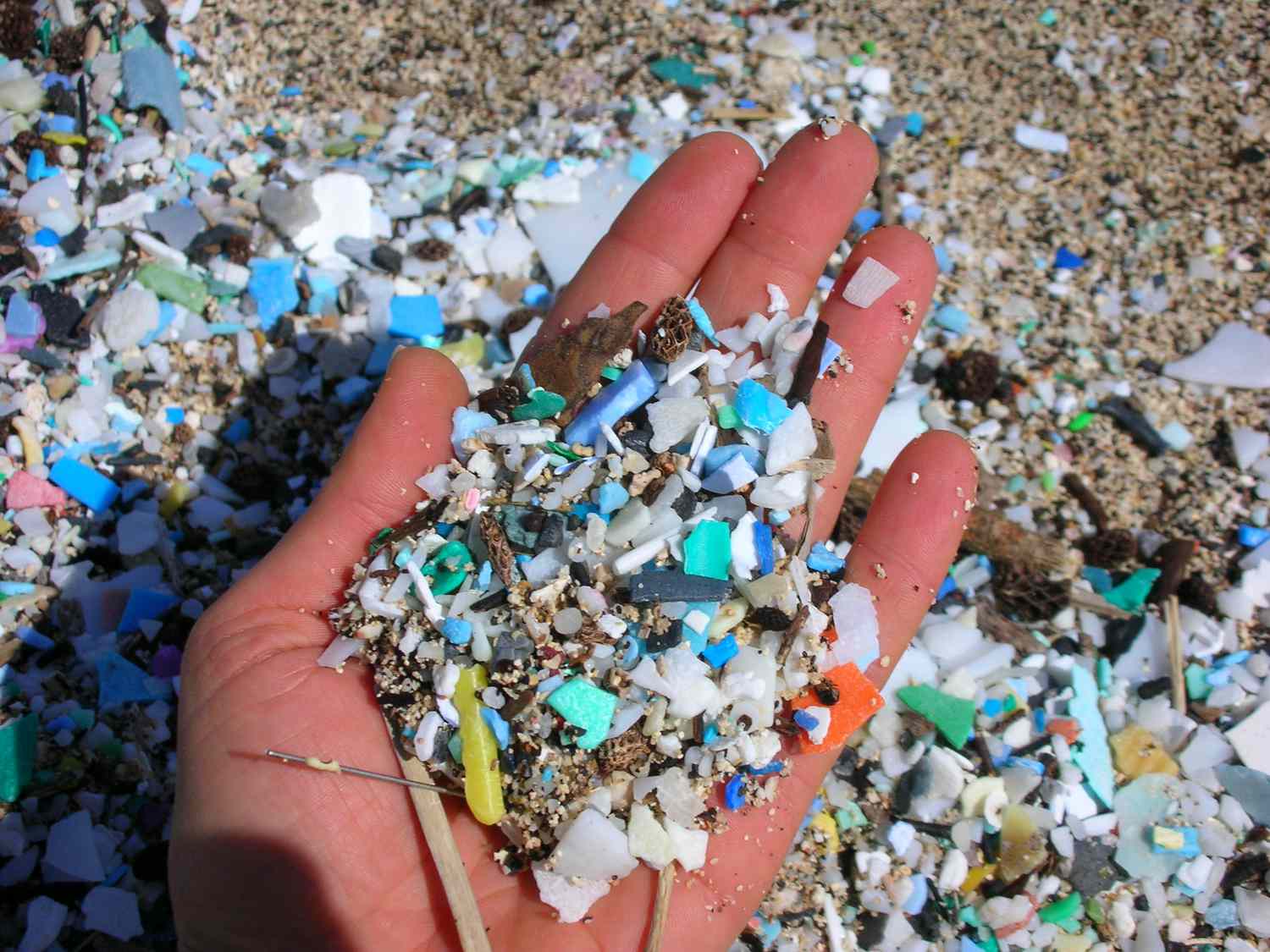 Ocean Plastic Sees Staggering Enhance Since 2005, Analysis Finds