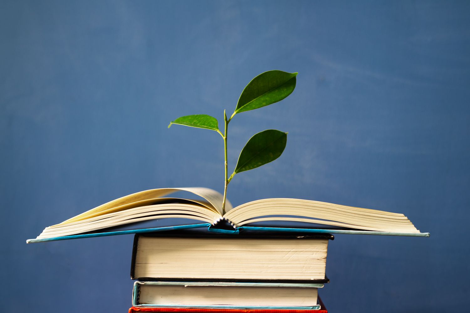 10 Ought to-Study Environmental Books