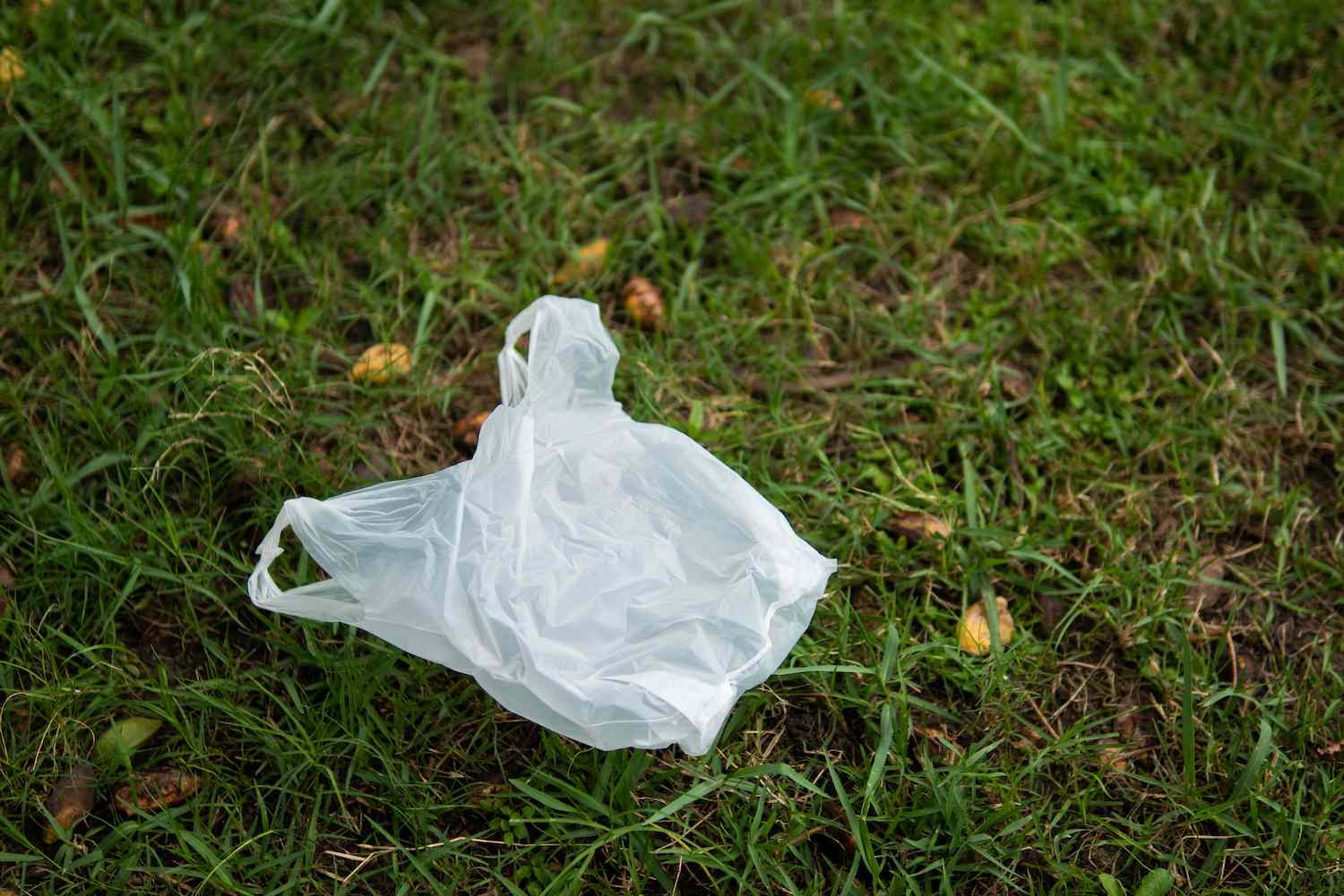 Must Cities Throw Away Plastic Bag Bans? It’s Subtle