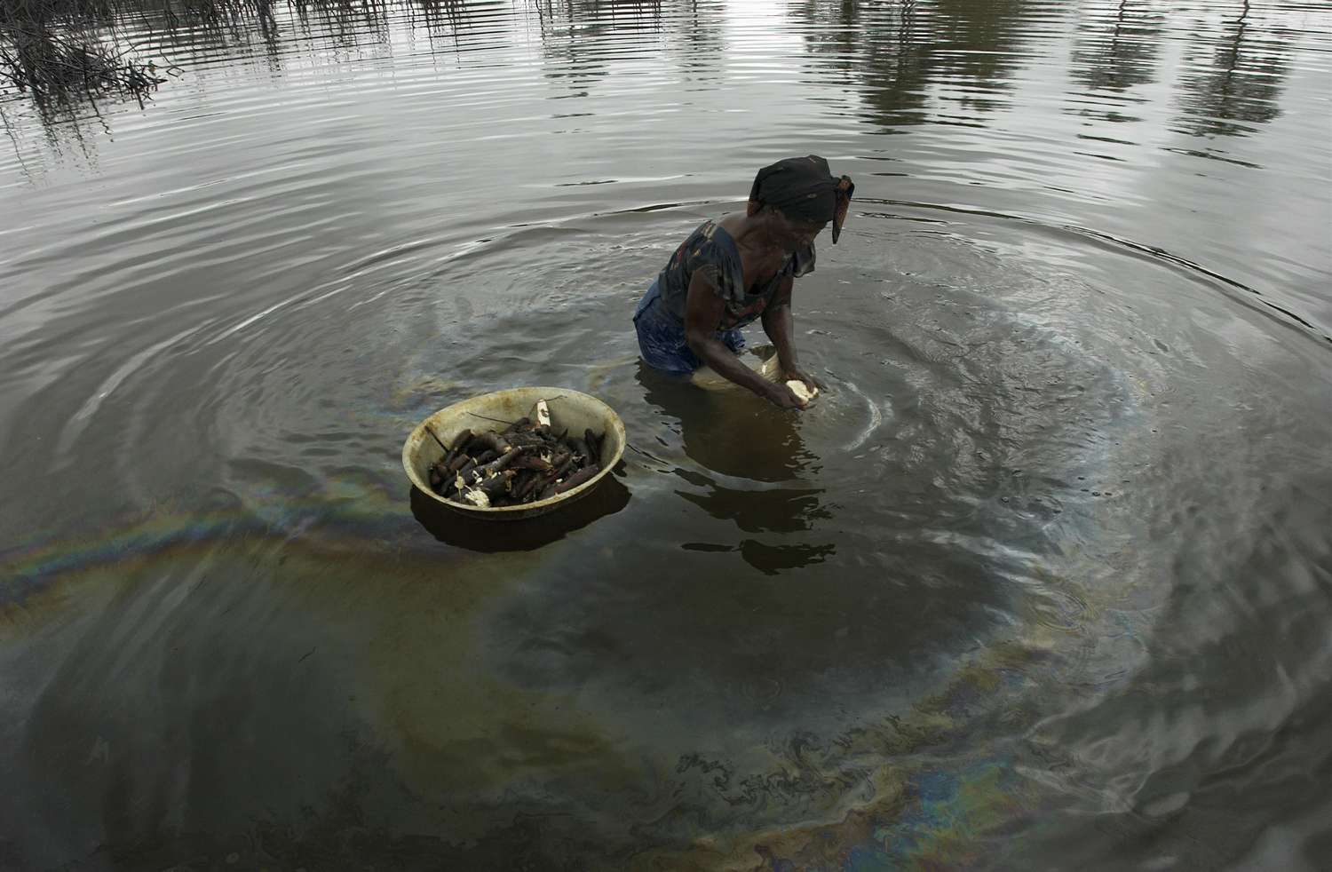 Court docket docket Orders Shell to Pay for Nigerian Oil Spills