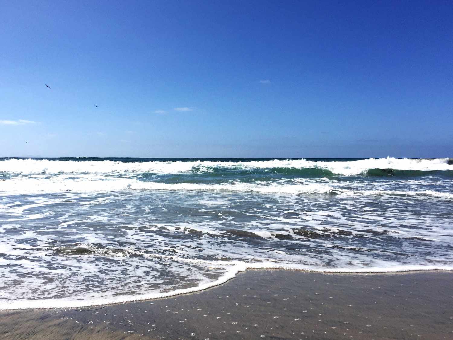 Sea Spray at California Seaside Comes with Aerosolized Raw Sewage